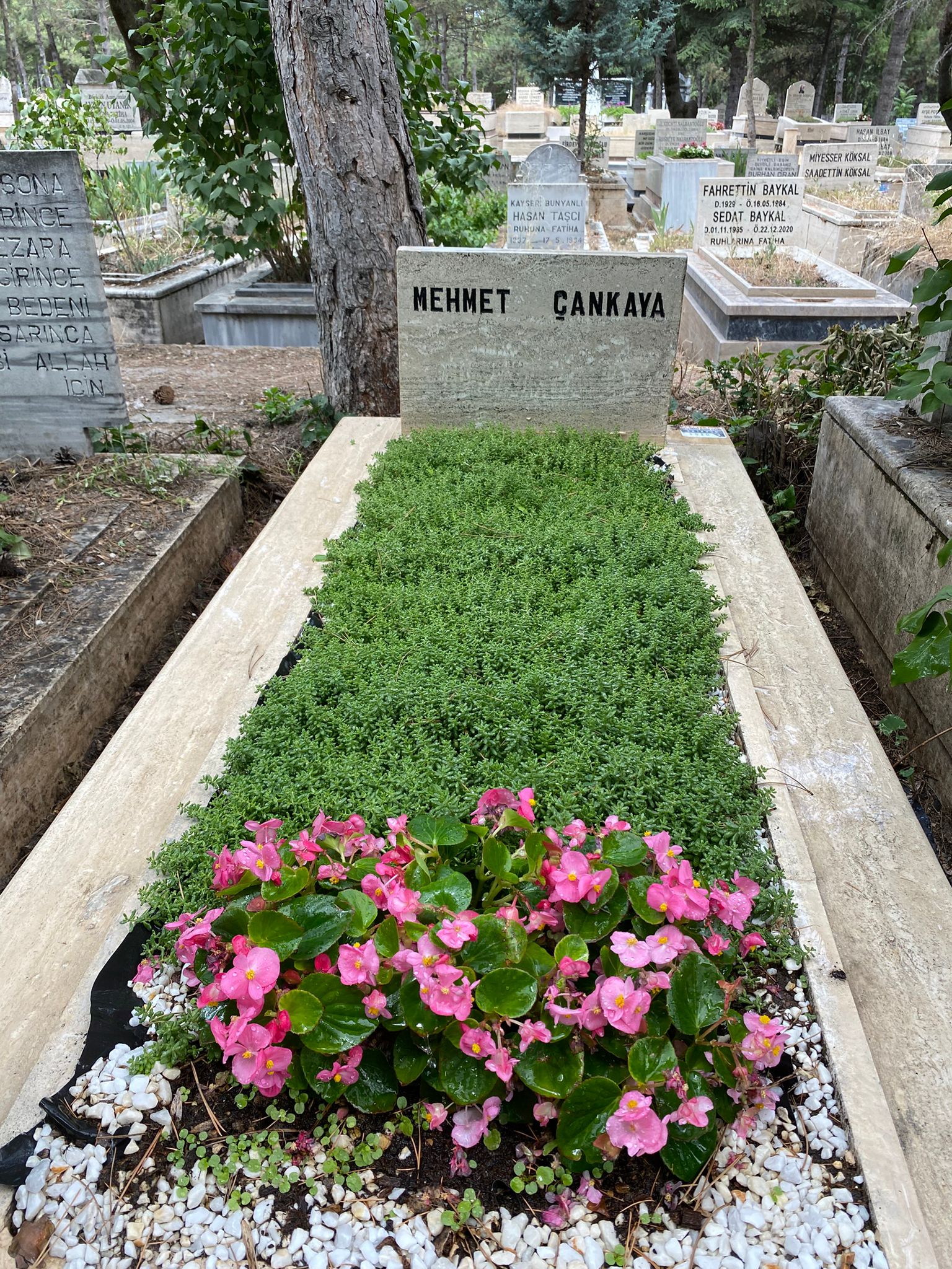 ay-mezar-bakim-hizmetleri-00 (15) ay-mezar-bakim-hizmetleri-00 (15)