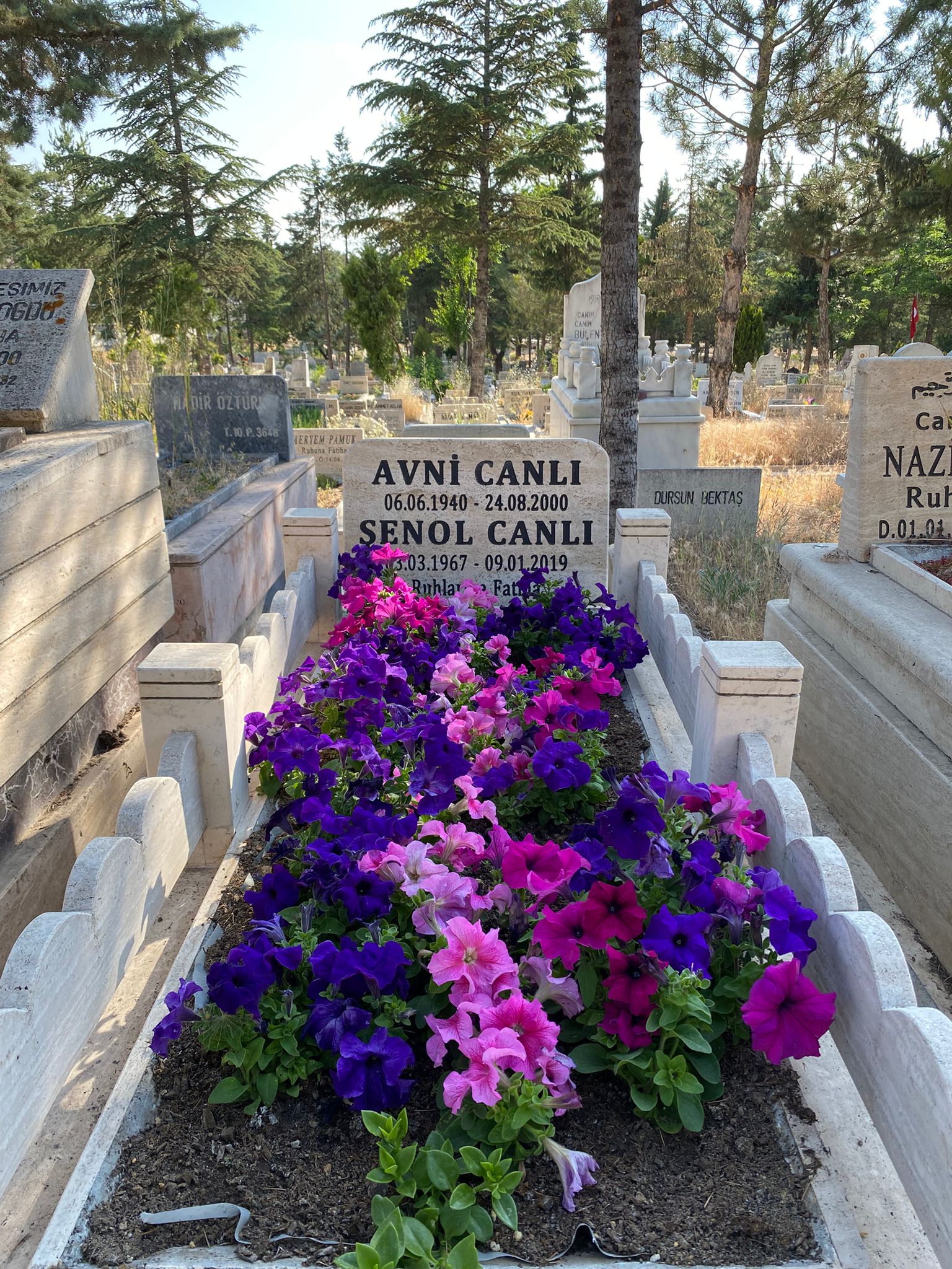 ay-mezar-bakim-hizmetleri-00 (23) ay-mezar-bakim-hizmetleri-00 (23)