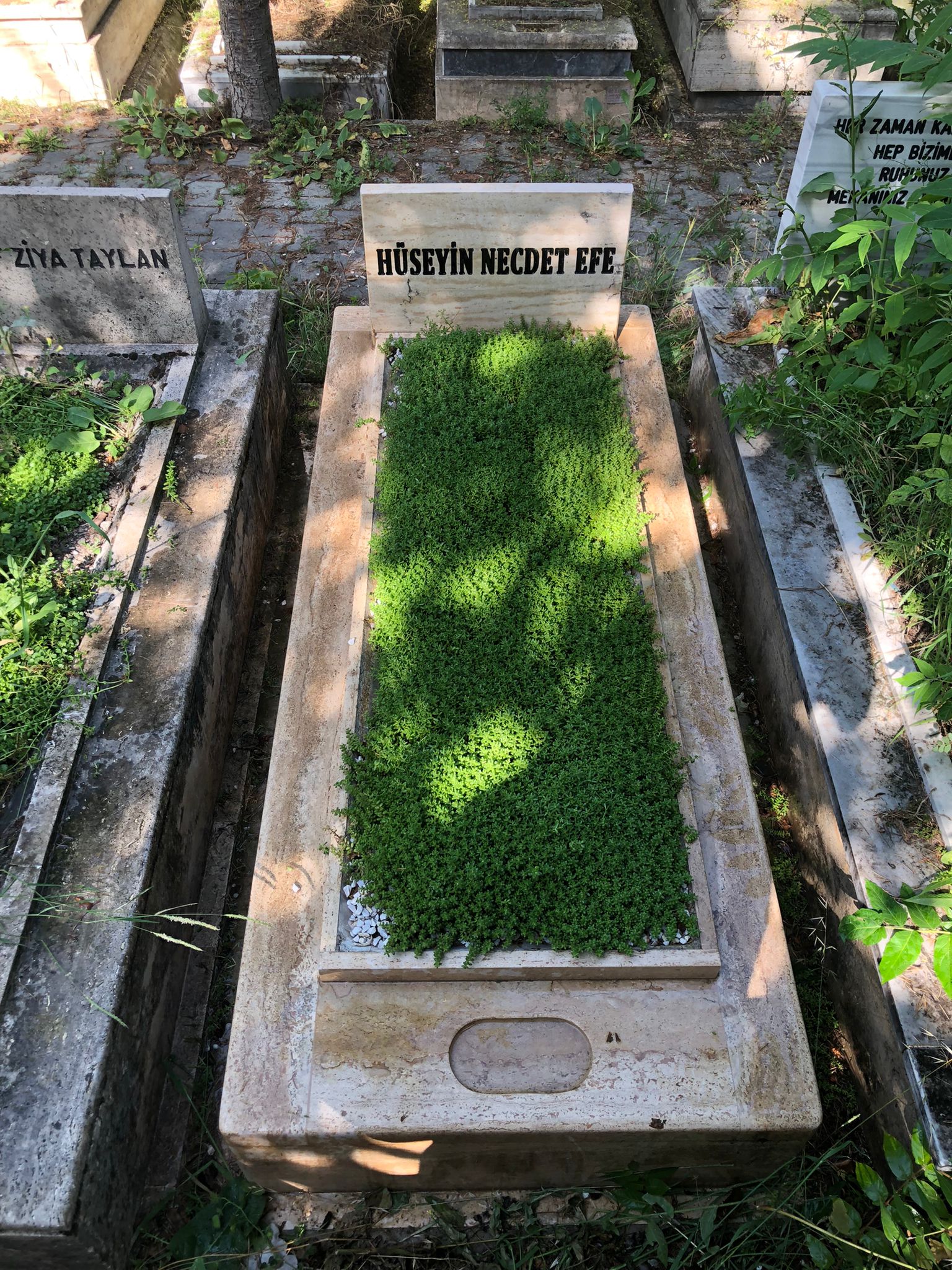 ay-mezar-bakim-hizmetleri-00 (38) ay-mezar-bakim-hizmetleri-00 (38)